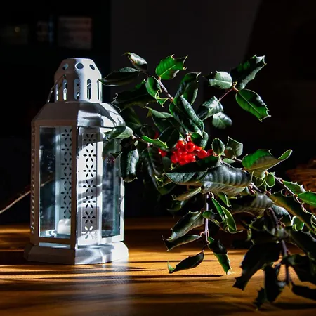 Casas Nelita Tatil Evi *