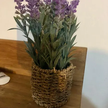 Tatil Evi Casas Nelita