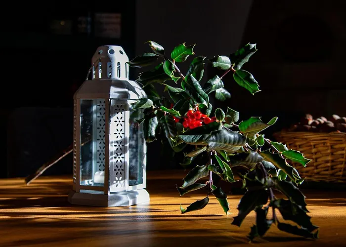 Casas Nelita Vakantiehuis *