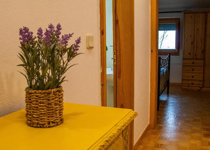 Hébergement de vacances Casas Nelita *