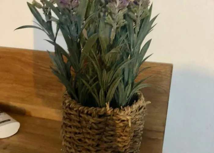 Hébergement de vacances Casas Nelita